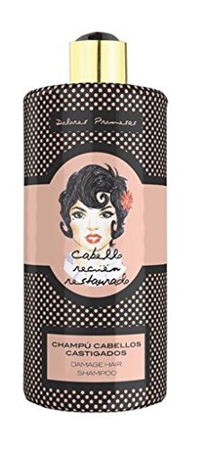 Pain Promises Shampoo Hair castigados- 300 ml