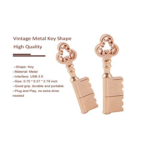 CHUYI Metal Rose Gold Key Shape 64GB USB 2.0 Flash Drive Cool Pen Drive Waterproof Memory Stick Data Storage Funny Thumb Drive U Disk Gift
