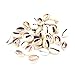 PandaHall Elite About 50 Pcs Tiny Cowrie Sea Shells Oval Ocean Beach Spiral Seashells Craft Charms Length 18-20mm Candle Making, Home Decoration, Party Wedding Decor, Fish Tank Vase Filler