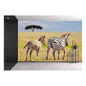 Zebra - Removable Wall Mural | Self-Adhesive Large Wallpaper - 66x96 inches