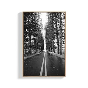 Canvas Wall Art for Living Room, Bedroom Tree Framed Canvas Prints for Home Decoration Ready to Hang - 16x24 inches