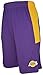 Los Angeles Lakers NBA Youth Jersey Shorts - Purple S
