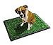Puppy Potty Grass Toilet Trainer Tray for Dogs and Puppies Large 20 x 25 Inch. Training Grass Pee Pad For Indoor, Outdoor Use, Porches, Apartments and Houses Grass Turf Mat