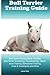 Bull Terrier Training Guide Bull Terrier Training Book Includes: Bull Terrier Socializing, Housetraining, Obedience Training, Behavioral Training, Cues & Commands and More