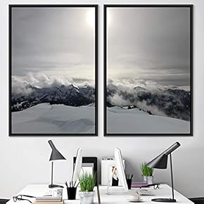 signwin 2 Piece Framed Canvas Wall Art Monochromatic...