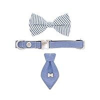 United Pups Fashion Collar with Matching Bow Tie and Neck Tie Set for Dogs (Chill Pups Blue, Small)