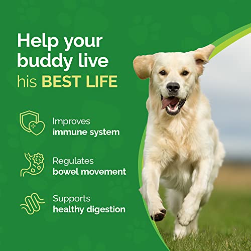 Dr. Dobias GutSense, Advanced Prebiotic & Probiotics for Dogs, Canine