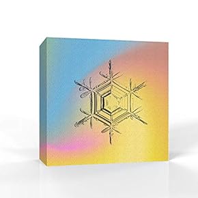wall26 - Canvas Wall Art - Snowflake Theme...
