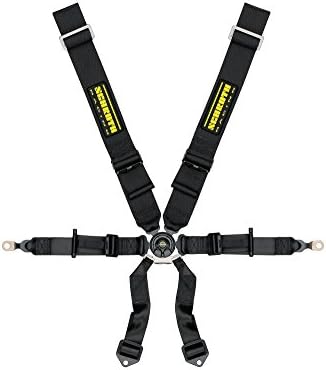 Schroth Porsche GT3 Profi II 6 Point Camlock Racing Harness with Bolt In Pull Down Lap Belt for use with HANS Devices - Red