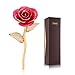 24K Rose Gold Leaf Christmas Her, Eternal Love Real Gold Plated Rose Flower, Valentine's Day, Wedding Anniversary, Birthday, Mother's Day ( Gold Leaves)