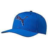 Puma Golf 2017 Men's Go Time Hat, Lapis Blue, One Size