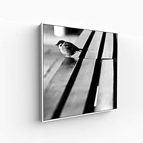 Canvas Wall Art for Living Room, Bedroom Silence Framed Canvas Prints for Home Decoration Ready to Hang - 16x16 inches