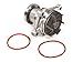 Evergreen TK8010WPT Fits Chevrolet Suzuki H25A H27A V6 Timing Chain Kit with Water Pump (with Gears)