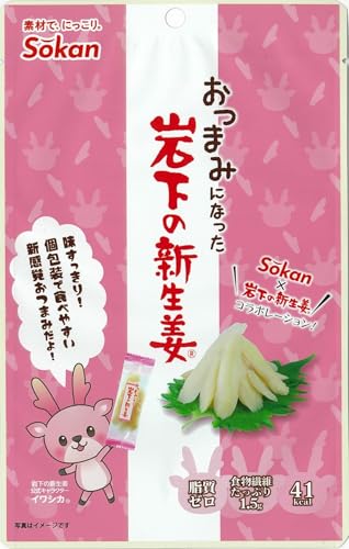 壮関 おつまみになった岩下の新生姜 43g ×6袋