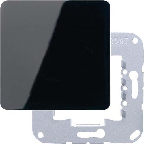 Jung CD594 0SW Blind Cover