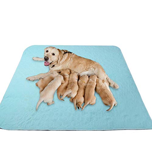 kooltail washable pee pads