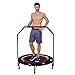 Mini Trampoline for Kids Adults, 40-Inch Folding Fitness Trampoline with Adjustable Handle Bar | Max Load 250lbs Rebounder for Indoor Outdoor Cardio Training