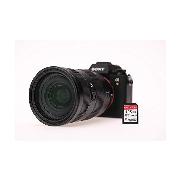 Manfrotto 128 GB SD Professional Speicherkarte, UHS-II, V90, U3 280 MB/s Lesen, 250 MB/s Schreiben, Speicherkarte für… – Bild 7