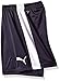 Puma Men's Pitch Shorts without Inner Brief