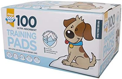 boy dog pee pads