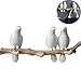 WINGOFFLY® Decorative Birds On Tree Branch Wall Mounted Coat Hanger for Coats/Hats/Keys/Towels(Three Birds)
