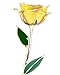 zjchao 24K Yellow Rose for Her, Eternal Eternity Love Real Gold Plated Rose Flower, Romantic Present for Wife, Girlfriend, Anniversary, Parting, Apologize (Yellow)