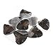10pcs Natural Freshwater Pearls Oysters kit with Cultured Oval Pearls Inside Birthday Gifts 9mm