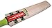 Gray-Nicolls Powerbow GN+ English Willow Cricket Bat, Full Size SH