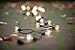Radiance Clear String Globe Lights, 25 ft, Black Wire, G40 Bulb