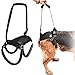 LOOBANI Dog Support Harness for Back Legs, Lift Rear Mobility Aids for Aging, Injuries and Rehabilitation After Surgery (XXL)