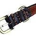 Tellpet Real Leather Dog Collar, Brown, Small