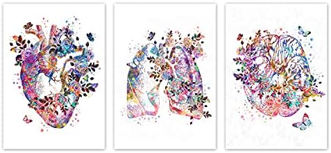 YGYT Canvas Wall Art Heart Watercolor Poster Human Anatomy Art Print on ...