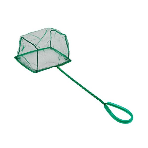 Uniclife-15cm-Aquarium-Fish-Net-Fine-Mesh-Fish-Catch-Nets-with-Plastic-Handle-Green Uniclife 10/15/20/25 cm Aquarium Fish Net Fine Mesh Fish Catch Nets with Plastic Handle - Green