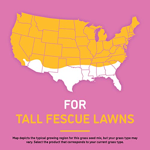 BarkYard Bad Spot Tall Fescue Repairs Bare Spots, Mulch, Seed, and Fertilizer Repairs Yard Bald