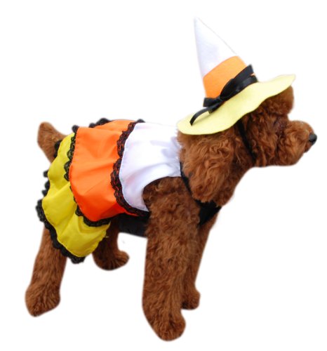 Anit Accessories Candy Corn Dog Costume, 16-Inch - Image 3