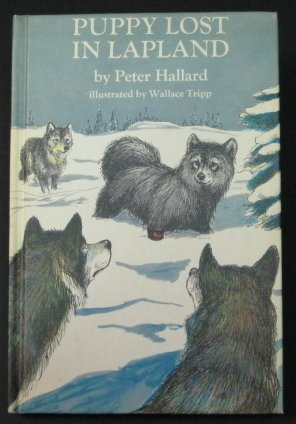 Puppy Lost in Lapland