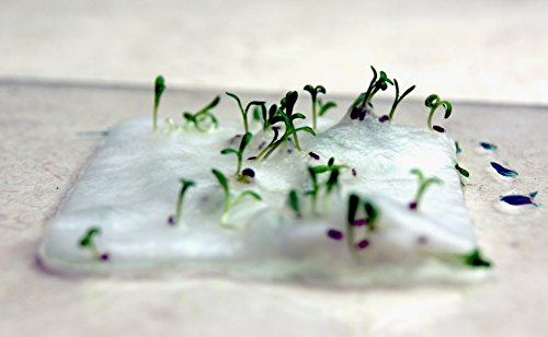 White Seed Paper Heavy weight (80lb.) 8.5" x 11" pack of 30 handmade Card stock cotton fiber - Thumbnail 6