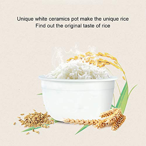 Tianji Ceramic Pot Digital Rice Cooker FD30D (Update from FD20D）3L, Porridge, Soup maker - Thumbnail 2