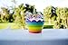 Unicorn Cupcake Topper and Wrapper for Kids Party Supplies - 24 Sets of Toppers and Wrappers BONUS Rainbow Cupcake Recipes