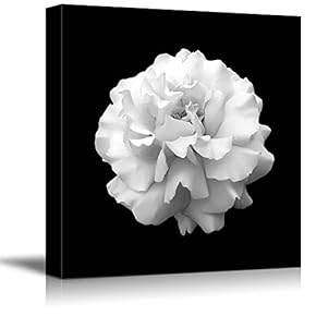 Black Background Flower Theme for Living Room Painting...