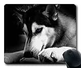 Gaming Mouse mat,Dogs Playing,Precision