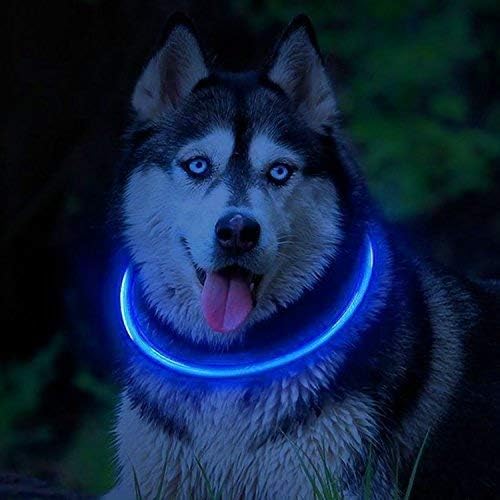 PetSol LED Collar Perro Collar de Seguridad LED Recargable Ultra Luminoso para su Mascota