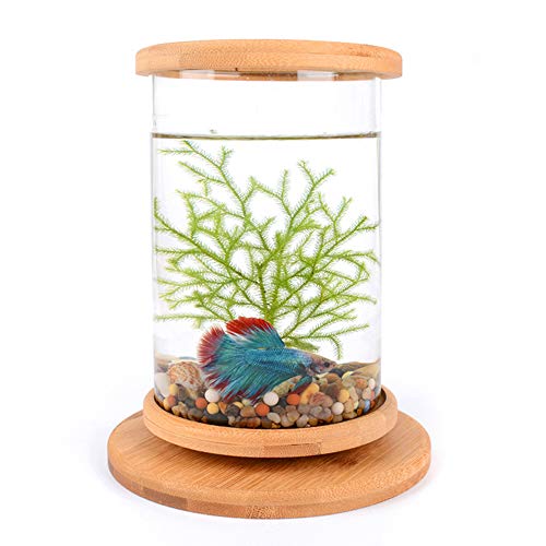 Norgail Creative Rotary Aquarium Betta Mini Fish Tank with LED Lighting Desktop Bowl Round Aquarium Decoration for Home Living Room Bedroom Office Spinning Bamboo Rack - Thumbnail 2