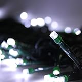 LEDwholesalers Linkable 33-Feet Green Wire String Light with 100 White LEDs and Multi-Function Controller, 2065WH