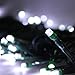 LEDwholesalers Linkable 33-Feet Green Wire String Light with 100 White LEDs and Multi-Function Controller, 2065WH