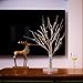 Bolylight LED Table Lamp Birch Money Tree Holder Night Light Centerpieces Great Decoration for Home/Christmas/Party/Festival/Wedding, 1.5ft Silver