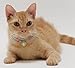 Necoichi Chirimen Cat Collar with Clover Bell (Baby Blue) with Bell Safety Breakaway Soft Lightweight for Cats Kitty Kitten Japanese Stylish Pattern, No.1 Seller in Japan