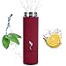 Vibrant Insulated Water Bottle/Tea Travel Mug Leak Proof Double-Wall Thermos Keeps Coffee HOT/Beverages Cold with Bonus Tea Water Infuser 16.9 oz (Red)