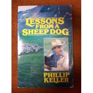 Lessons From a Sheepdog