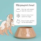 Mason Cash Cane Non Tip Dog Bowl 21 cm Ceramic Food Water Dish view 3